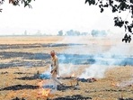 Stubble burning and finding a solution to it is one of the 15-key-focus areas identified by the Delhi government, based on which it will be preparing its winter action plan for air pollution. Stubble burning and finding a solution to it is one of the 15-key-focus areas identified by the Delhi government, based on which it will be preparing its winter action plan for air pollution.
