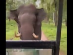 It was a close call: The driver drove full speed in reverse, saving safari goers from the elephant attack. It was a close call: The driver drove full speed in reverse, saving safari goers from the elephant attack.