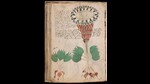The Voynich manuscript is a 15th-century book, most likely created in Italy. It’s named after Wilfrid Voynich, the rare-books dealer who rediscovered it in 1912. No one knows who wrote it, what language it is in, or what the book is about. (Wikimeida Commons) The Voynich manuscript is a 15th-century book, most likely created in Italy. It’s named after Wilfrid Voynich, the rare-books dealer who rediscovered it in 1912. No one knows who wrote it, what language it is in, or what the book is about. (Wikimeida Commons)