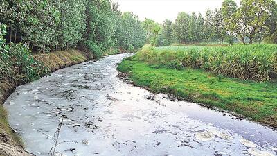 The 200km-long Hindon originates from Purka Tanda village in UP’s Saharanpur district. It meets the Yamuna near Delhi, adding tons of sewage to the already choked river. (Burhaan Kinu/HT Photo) The 200km-long Hindon originates from Purka Tanda village in UP’s Saharanpur district. It meets the Yamuna near Delhi, adding tons of sewage to the already choked river. (Burhaan Kinu/HT Photo)
