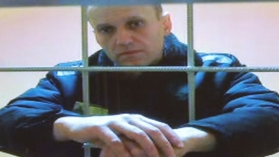 Alexei Navalny: Russian opposition leader Alexei Navalny is seen on a screen via a video link. (Reuters)
