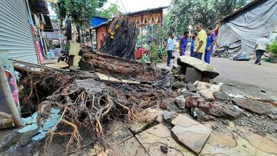 Four people were injured after the tree fell on the Ganesh pandal and he condition of a 30-year-old man is serious. (Praful Gangurde/HT photos) Four people were injured after the tree fell on the Ganesh pandal and he condition of a 30-year-old man is serious. (Praful Gangurde/HT photos)