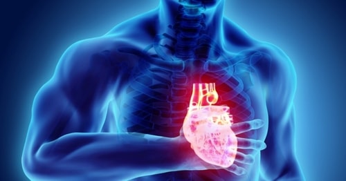 In 2025, people finally stopped taking the heart for granted. For the HT reader, heart health was no longer confined to the walls of a hospital. (Twitter/WebMD) In 2025, people finally stopped taking the heart for granted. For the HT reader, heart health was no longer confined to the walls of a hospital. (Twitter/WebMD)