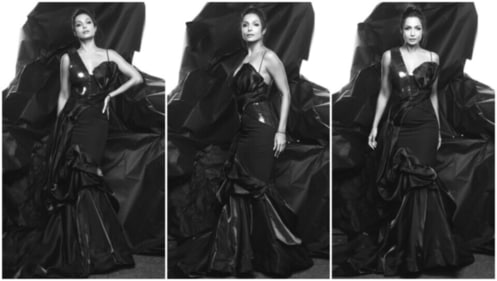 Malaika Arora nails the photoshoot in an Amit Aggarwal gown.&nbsp; (Instagram)