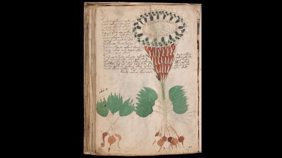 The Voynich manuscript is a 15th-century book, most likely created in Italy. It’s named after Wilfrid Voynich, the rare-books dealer who rediscovered it in 1912. No one knows who wrote it, what language it is in, or what the book is about. (Wikimeida Commons)