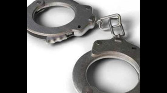 Ludhiana police recovered 37,600 intoxicating pills and 1.5kg opium with the arrest of four persons in separate cases in the city. (HT FILE)