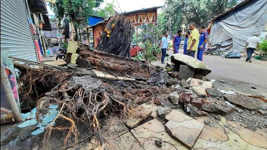 Four people were injured after the tree fell on the Ganesh pandal and he condition of a 30-year-old man is serious. (Praful Gangurde/HT photos)