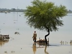 A villager uses cots to save usable items after salvaging from his flood-hit home, in Jaffarabad, a district of Pakistan's southwestern Baluchistan province.(AP) A villager uses cots to save usable items after salvaging from his flood-hit home, in Jaffarabad, a district of Pakistan's southwestern Baluchistan province.(AP)