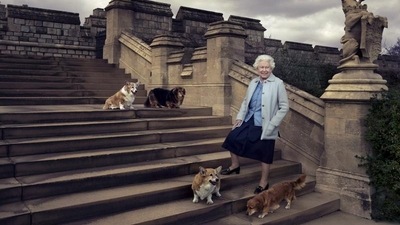 A queen and her corgis: Elizabeth loved breed from childhood. (REUTERS) A queen and her corgis: Elizabeth loved breed from childhood. (REUTERS)