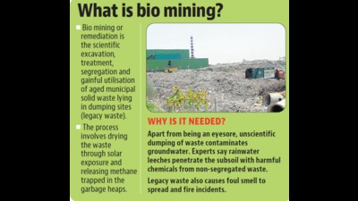 With Bathinda city growing over the last few years, the volume of waste generated has increased, causing foul smell to spread and fire incidents in waste heaps. (HT PHOTO)