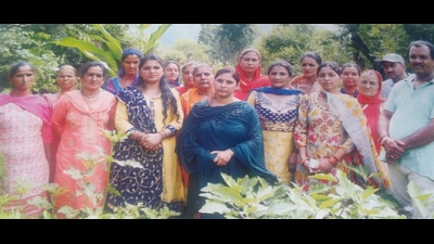 Women of Panjayanu village of Pangana sub-tehsil of Mandi district have set an example by adopting natural farming. Women of Panjayanu village of Pangana sub-tehsil of Mandi district have set an example by adopting natural farming.