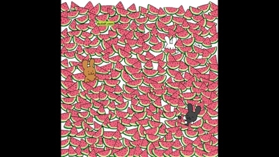 The brain teaser has five seedless watermelons. Can you find them all? (Instagram/@thedudolf)