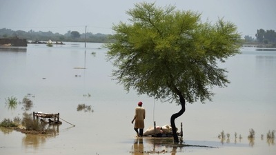 A villager uses cots to save usable items after salvaging from his flood-hit home, in Jaffarabad, a district of Pakistan's southwestern Baluchistan province. (AP) A villager uses cots to save usable items after salvaging from his flood-hit home, in Jaffarabad, a district of Pakistan's southwestern Baluchistan province. (AP)