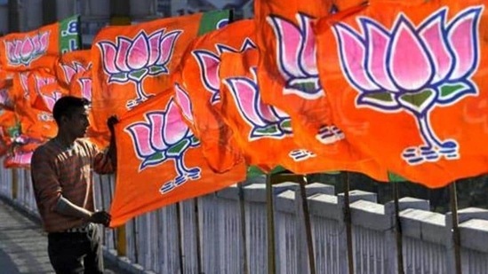 A Bharatiya Janta Party worker erecting BJP flags. A Bharatiya Janta Party worker erecting BJP flags.