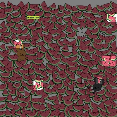 In the image, all five seedless watermelons are highlighted. (Gergely Dudás) In the image, all five seedless watermelons are highlighted. (Gergely Dudás)