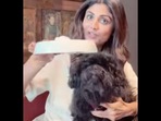Shilpa Shetty Kundra with her pet dog Truffle who enjoys its ‘Sunday binge’ ice-cream. (Instagram/@theshilpashetty) Shilpa Shetty Kundra with her pet dog Truffle who enjoys its ‘Sunday binge’ ice-cream. (Instagram/@theshilpashetty)