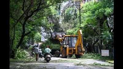 Trees fall due to heavy rains at Panchvati, Pashan. (HT PHOTO)