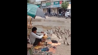 A screengrab from the viral video that shows the cobbler feeding birds sitting beside his shop. (Instagram/@md.ummarhussain) A screengrab from the viral video that shows the cobbler feeding birds sitting beside his shop. (Instagram/@md.ummarhussain)