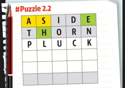 Puzzle 2.2