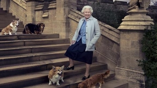 Britain's Queen Elizabeth II is seen walking in the private grounds of Windsor Castle on steps at the rear of the East Terrace and East Garden with four of her famous corgis. (REUTERS) Britain's Queen Elizabeth II is seen walking in the private grounds of Windsor Castle on steps at the rear of the East Terrace and East Garden with four of her famous corgis. (REUTERS)