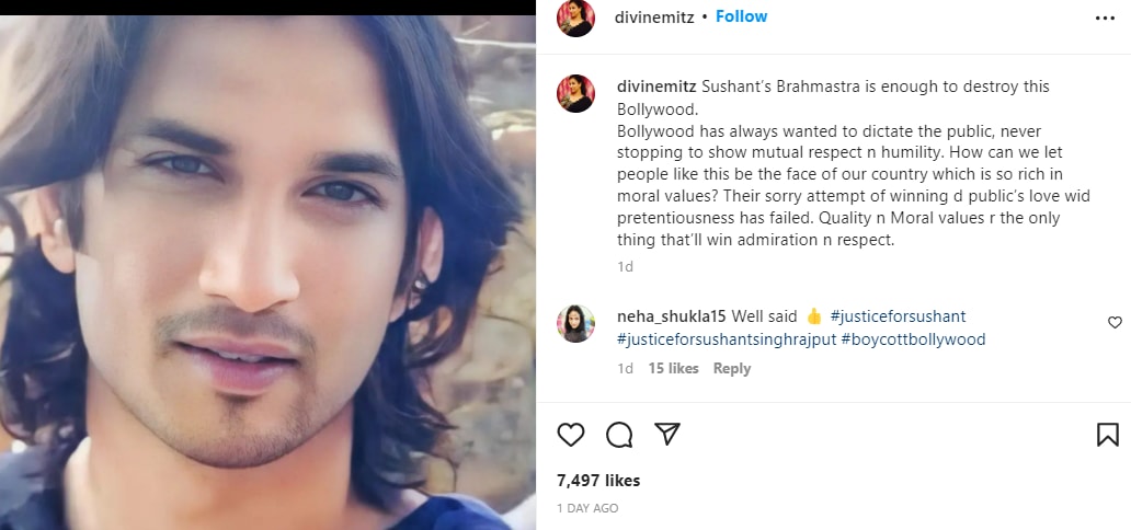 Sushant Singh Rajput's sister Meetu Singh has posted his photo.