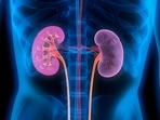 Ayurveda tips for kidney: Here's how to stop dialysis with Ayurvedic treatment (Twitter/AshfordIns) Ayurveda tips for kidney: Here's how to stop dialysis with Ayurvedic treatment (Twitter/AshfordIns)