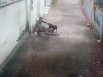 Videograb of the dog attack at Kozhikode. (Twitter) Videograb of the dog attack at Kozhikode. (Twitter)