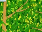 The brain teaser has a snake hidden in the jungle. How quickly can you spot it?(Facebook/Gergely Dudás) The brain teaser has a snake hidden in the jungle. How quickly can you spot it?(Facebook/Gergely Dudás)