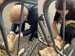 Prince Harry and Meghan Markle petting the dog outside Windsor Castle. Prince Harry and Meghan Markle petting the dog outside Windsor Castle. 