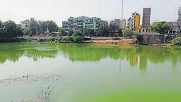 Anoop Singh, MCG councillor from ward 6 has proposed to rename the Sukhrali pond after Sukhram Bhambhu, a resident who is believed to have established the village as well as the pond in 1482 (HT ARCHIVE)