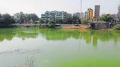 Anoop Singh, MCG councillor from ward 6 has proposed to rename the Sukhrali pond after Sukhram Bhambhu, a resident who is believed to have established the village as well as the pond in 1482 (HT ARCHIVE) Anoop Singh, MCG councillor from ward 6 has proposed to rename the Sukhrali pond after Sukhram Bhambhu, a resident who is believed to have established the village as well as the pond in 1482 (HT ARCHIVE)