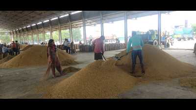 Basmati prices fall as standoff between arhtiyas, Haryana govt continues Basmati prices fall as standoff between arhtiyas, Haryana govt continues