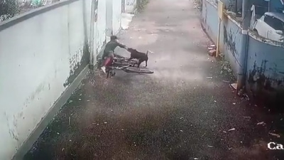 Videograb of the dog attack at Kozhikode. (Twitter) Videograb of the dog attack at Kozhikode. (Twitter)