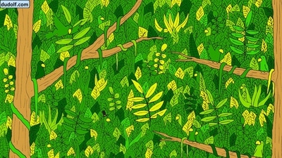 The brain teaser has a snake hidden in the jungle. How quickly can you spot it? (Facebook/Gergely Dudás) The brain teaser has a snake hidden in the jungle. How quickly can you spot it? (Facebook/Gergely Dudás)