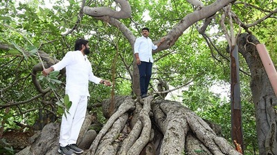 TRS Rajya Sabha MP Joginapally Santhosh Kumar has announced ₹2 crore from his MPLAD fund for the preservation of the historic tree. TRS Rajya Sabha MP Joginapally Santhosh Kumar has announced ₹2 crore from his MPLAD fund for the preservation of the historic tree.