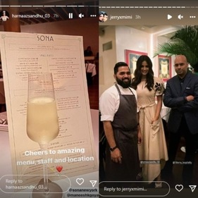 Harnaaz posted a photo giving a glimpse of the menu.