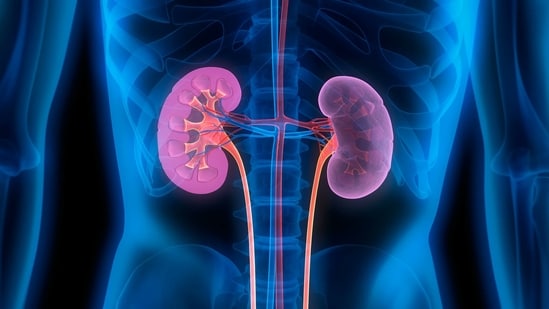 Ayurveda tips for kidney: Here's how to stop dialysis with Ayurvedic treatment&nbsp;(Twitter/AshfordIns)