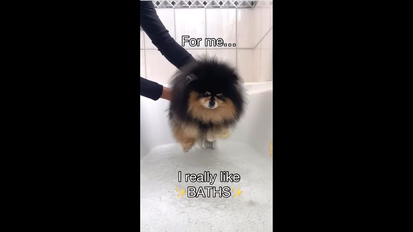 when can i bathe my pomeranian puppy