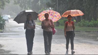 A group of friends enjoying the rain in Chandigarh on Wednesday. (Ravi Kumar/HT)
