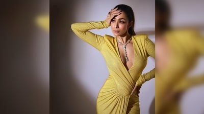 Malaika Arora's Mimosa Stretch Jersey is worth <span class='webrupee'>₹</span>3,66,000, as per Tutus Kurniati's official website. (Instagram/@malaikaaroraofficial) Malaika Arora's Mimosa Stretch Jersey is worth <span class='webrupee'>₹</span>3,66,000, as per Tutus Kurniati's official website. (Instagram/@malaikaaroraofficial)
