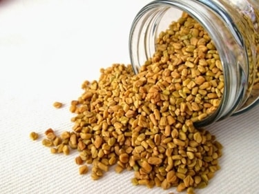 Fenugreek Fenugreek