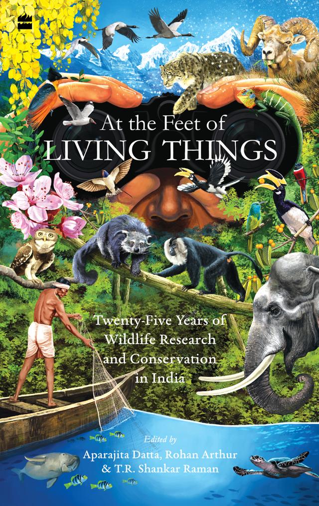 S378pp, ₹599; HarperCollins (Shutterstock) S378pp, ₹599; HarperCollins (Shutterstock)