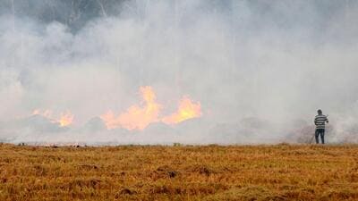 Patiala, India-31 October 2019::::Farmer Burning Paddy Stubble at Bhat Majra in Patiala Pehowa District in Haryana on Thursday, October 31, 2019.Photo by Bharat Bhushan Hindustan Times. (HT File) Patiala, India-31 October 2019::::Farmer Burning Paddy Stubble at Bhat Majra in Patiala Pehowa District in Haryana on Thursday, October 31, 2019.Photo by Bharat Bhushan Hindustan Times. (HT File)
