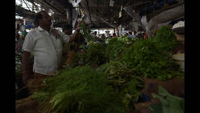 Prices of leafy vegetables are increasing in APMC market in Navi Mumbai owing to rains. (BACHCHAN KUMAR/HT PHOTO) Prices of leafy vegetables are increasing in APMC market in Navi Mumbai owing to rains. (BACHCHAN KUMAR/HT PHOTO)