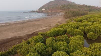 A 1.5-kilometre-long shoreline in the region around Devaghar beach has significantly receded -- to the extent of 300-500 metres inland -- between 1990 and 2022, resulting in the loss of various ecosystems (HT File) A 1.5-kilometre-long shoreline in the region around Devaghar beach has significantly receded -- to the extent of 300-500 metres inland -- between 1990 and 2022, resulting in the loss of various ecosystems (HT File)