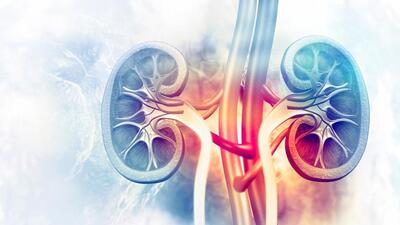 As per sources, the donor is a relative of one of the 24 patients who underwent kidney transplant at PGIMER’s Renal Transplant Centre in August. (HT)