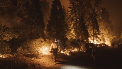 COLFAX, CA - SEPTEMBER 14: A firefighter lights a controlled burn during the Mosquito Fire on September 14, 2022 in Foresthill, California. The Mosquito fire has became California�s largest wildfire of the year. Eric Thayer/Getty Images/AFP (AFP) COLFAX, CA - SEPTEMBER 14: A firefighter lights a controlled burn during the Mosquito Fire on September 14, 2022 in Foresthill, California. The Mosquito fire has became California�s largest wildfire of the year. Eric Thayer/Getty Images/AFP (AFP)