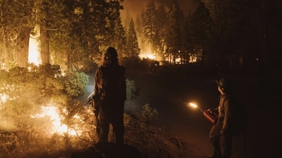 A fire in Northern California grew overnight after dry winds on Tuesday fanned flames, making the blaze the largest in the state so far this year. (AFP) A fire in Northern California grew overnight after dry winds on Tuesday fanned flames, making the blaze the largest in the state so far this year. (AFP)