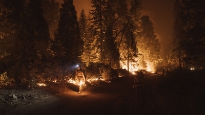Firefighters light a controlled burn during the Mosquito Fire on September 14 in Foresthill, California. (AFP) Firefighters light a controlled burn during the Mosquito Fire on September 14 in Foresthill, California. (AFP)