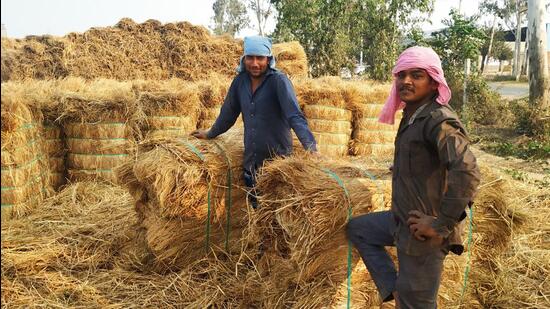 CASH OVER ASH: The waste-to-energy plants offer a sustainable way of dealing with crop residue besides giving farmers an opportunity to earn additional income. (HT Photo)